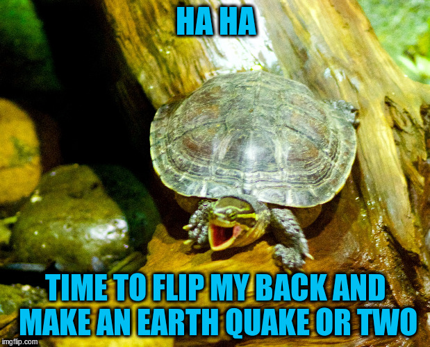 HA HA TIME TO FLIP MY BACK AND MAKE AN EARTH QUAKE OR TWO | made w/ Imgflip meme maker