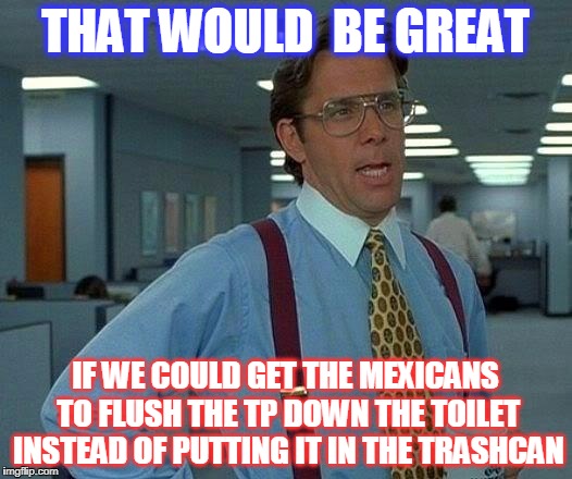 That Would Be Great Meme | THAT WOULD  BE GREAT; IF WE COULD GET THE MEXICANS TO FLUSH THE TP DOWN THE TOILET INSTEAD OF PUTTING IT IN THE TRASHCAN | image tagged in memes,that would be great | made w/ Imgflip meme maker