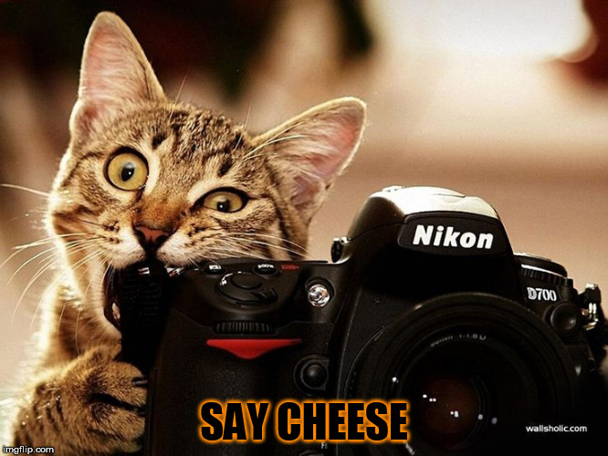 SAY CHEESE | made w/ Imgflip meme maker