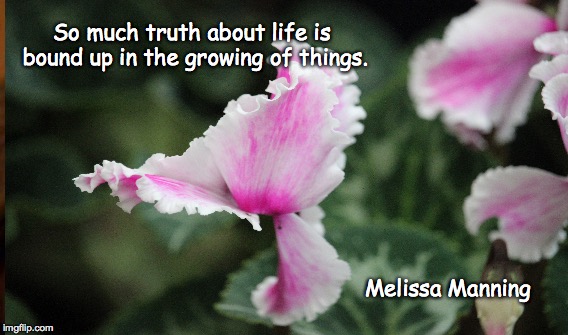 Growing things—what life is about. | So much truth about life is bound up in the growing of things. Melissa Manning | image tagged in quotes,parenting | made w/ Imgflip meme maker