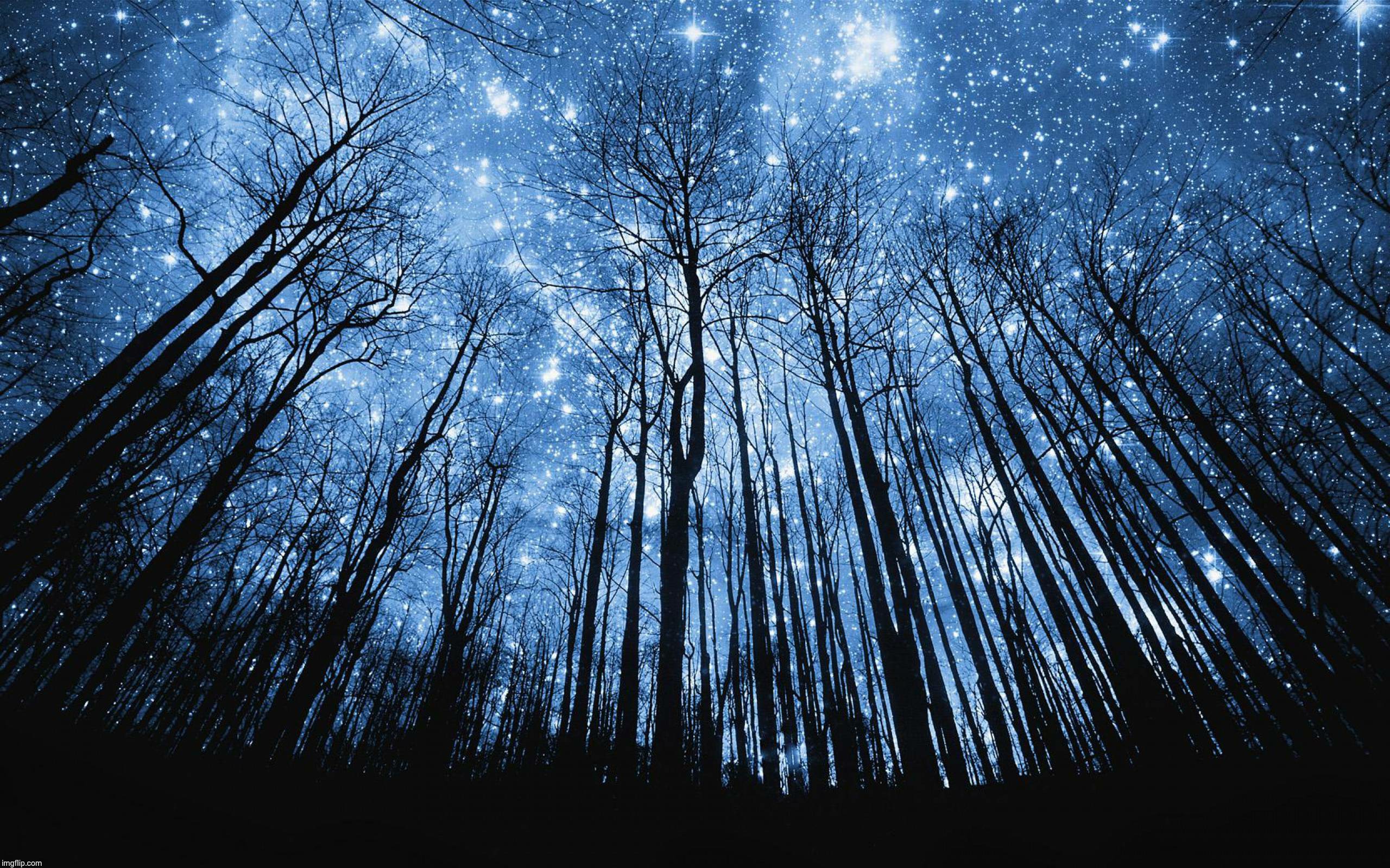 Starry Night | image tagged in stars,loyalsockatxhamster,scenic,beautiful | made w/ Imgflip meme maker