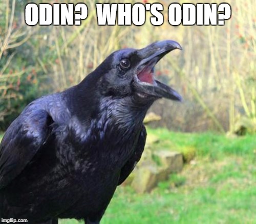 ODIN?  WHO'S ODIN? | made w/ Imgflip meme maker