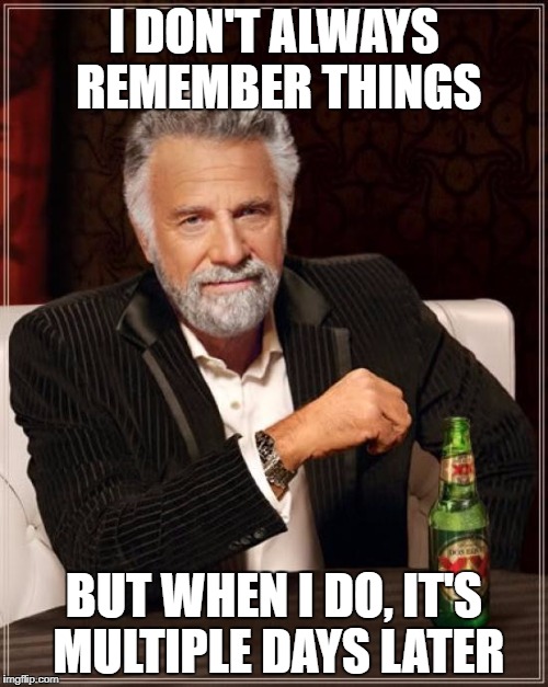 The Most Interesting Man In The World Meme | I DON'T ALWAYS REMEMBER THINGS; BUT WHEN I DO, IT'S MULTIPLE DAYS LATER | image tagged in memes,the most interesting man in the world | made w/ Imgflip meme maker