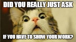 Funny animals | DID YOU REALLY JUST ASK; IF YOU HAVE TO SHOW YOUR WORK? | image tagged in funny animals | made w/ Imgflip meme maker