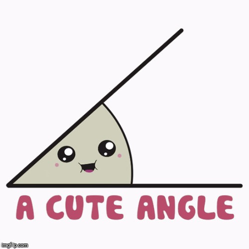 A cute angle  | . | image tagged in acute angle,a cute angle,jbmemegeek,memes,puns | made w/ Imgflip meme maker