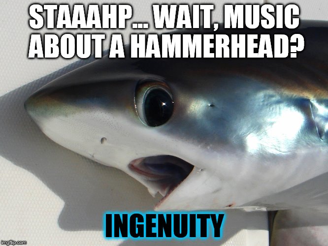 Surprised Shark | STAAAHP... WAIT, MUSIC ABOUT A HAMMERHEAD? INGENUITY | image tagged in surprised shark | made w/ Imgflip meme maker