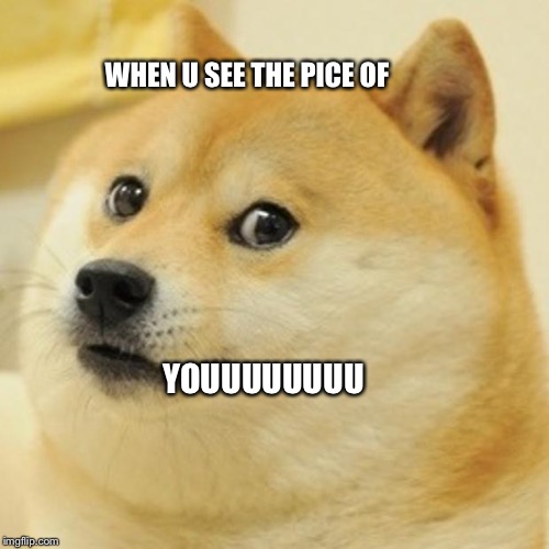 Doge Meme | WHEN U SEE THE PICE OF; YOUUUUUUUU | image tagged in memes,doge | made w/ Imgflip meme maker