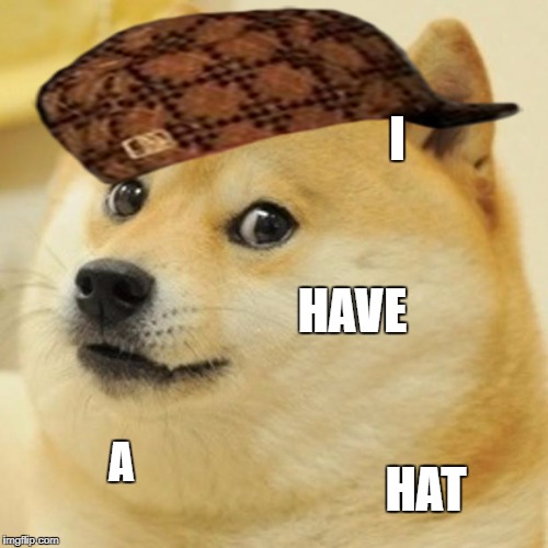Doge Meme | I; HAVE; A; HAT | image tagged in memes,doge,scumbag | made w/ Imgflip meme maker