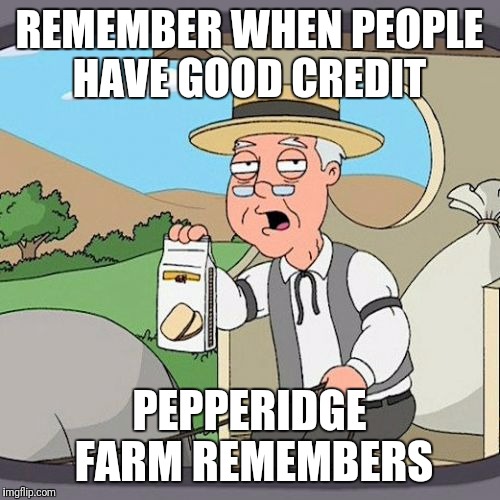Pepperidge Farm Remembers | REMEMBER WHEN PEOPLE HAVE GOOD CREDIT; PEPPERIDGE FARM REMEMBERS | image tagged in memes,pepperidge farm remembers | made w/ Imgflip meme maker