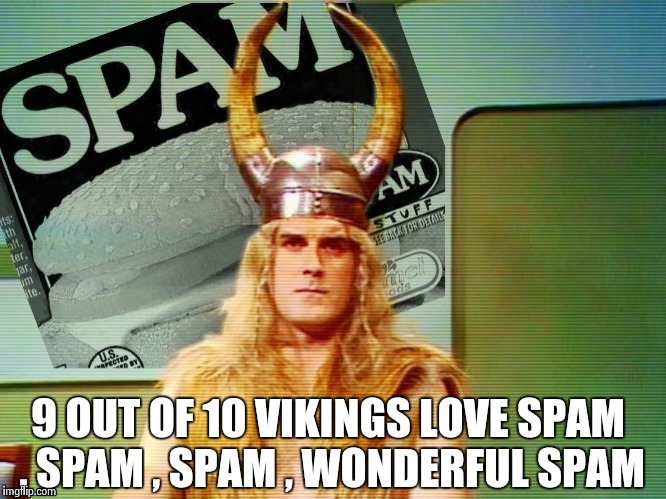 Spam , spam , spam . . . | 9 OUT OF 10 VIKINGS LOVE SPAM , SPAM , SPAM , WONDERFUL SPAM | image tagged in spam  spam  spam . . . | made w/ Imgflip meme maker