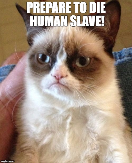 Grumpy Cat Meme | PREPARE TO DIE HUMAN SLAVE! | image tagged in memes,grumpy cat | made w/ Imgflip meme maker