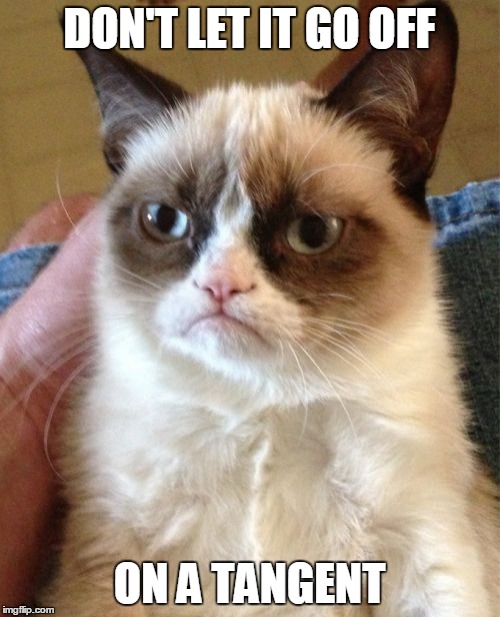 Grumpy Cat Meme | DON'T LET IT GO OFF ON A TANGENT | image tagged in memes,grumpy cat | made w/ Imgflip meme maker