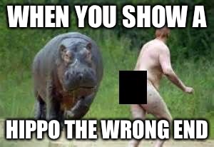 Hippo vs. Naked Guy | WHEN YOU SHOW A; HIPPO THE WRONG END | image tagged in hippo vs naked guy | made w/ Imgflip meme maker