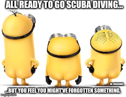 We might have forgot something... | ALL READY TO GO SCUBA DIVING... IG: TACSIGNEZ; ...BUT YOU FEEL YOU MIGHT'VE FORGOTTEN SOMETHING. | image tagged in scuba diving | made w/ Imgflip meme maker