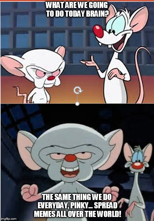 WHAT ARE WE GOING TO DO TODAY BRAIN? THE SAME THING WE DO EVERYDAY, PINKY... SPREAD MEMES ALL OVER THE WORLD! | image tagged in pinky and the brain | made w/ Imgflip meme maker