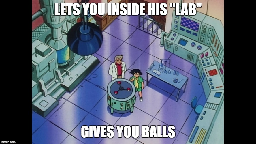 LETS YOU INSIDE HIS "LAB"; GIVES YOU BALLS | image tagged in pokemon,professor oak | made w/ Imgflip meme maker