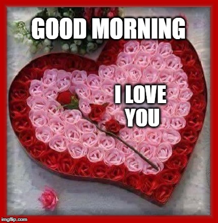 GOOD MORNING; I LOVE YOU | image tagged in good morning,i love you,roses | made w/ Imgflip meme maker