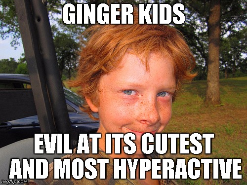 Ginger kids | GINGER KIDS; EVIL AT ITS CUTEST AND MOST HYPERACTIVE | image tagged in evil,hyperactive | made w/ Imgflip meme maker