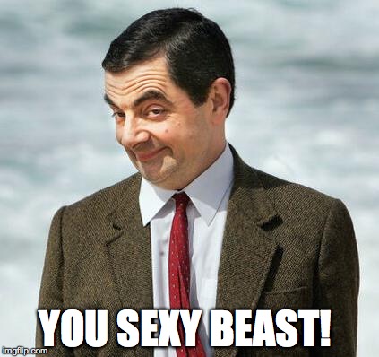 mr bean | YOU SEXY BEAST! | image tagged in mr bean | made w/ Imgflip meme maker