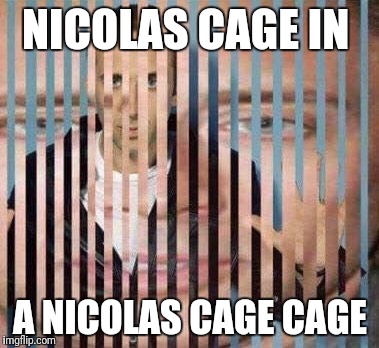 Nicolas cage in a Nicolas Cage cage | NICOLAS CAGE IN; A NICOLAS CAGE CAGE | image tagged in nicolas cage,cage | made w/ Imgflip meme maker
