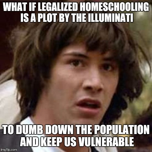 Conspiracy Keanu | WHAT IF LEGALIZED HOMESCHOOLING IS A PLOT BY THE ILLUMINATI; TO DUMB DOWN THE POPULATION AND KEEP US VULNERABLE | image tagged in memes,conspiracy keanu | made w/ Imgflip meme maker
