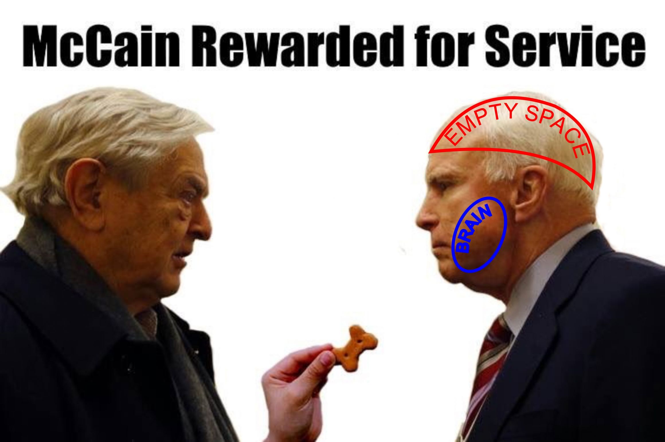 High Quality Lap Dog McCain Blank Meme Template