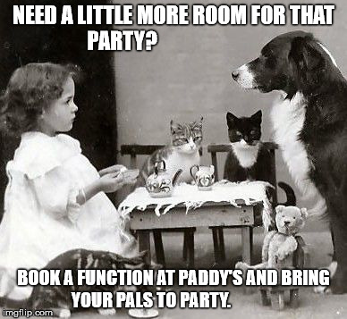 Tea Party | NEED A LITTLE MORE ROOM FOR THAT PARTY? BOOK A FUNCTION AT PADDY'S AND BRING YOUR PALS TO PARTY. | image tagged in tea party | made w/ Imgflip meme maker