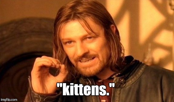 One Does Not Simply Meme | "kittens." | image tagged in memes,one does not simply | made w/ Imgflip meme maker