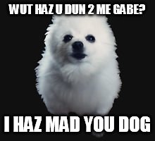 Gabe the dog | WUT HAZ U DUN 2 ME GABE? I HAZ MAD YOU DOG | image tagged in gabe the dog | made w/ Imgflip meme maker