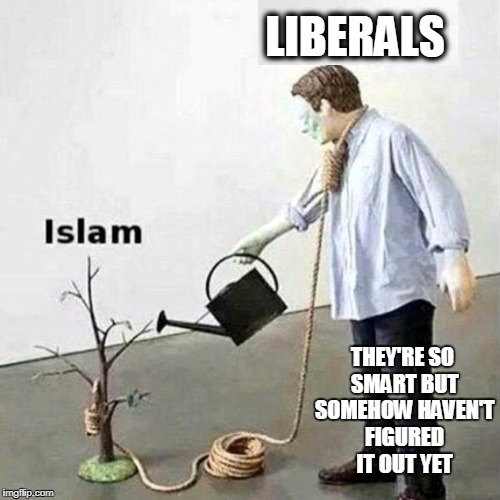 SUICIDE | LIBERALS; THEY'RE SO SMART BUT SOMEHOW HAVEN'T FIGURED IT OUT YET | image tagged in white guilt | made w/ Imgflip meme maker