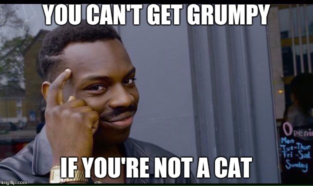 Roll Safe Think About It | YOU CAN'T GET GRUMPY; IF YOU'RE NOT A CAT | image tagged in thinking black guy | made w/ Imgflip meme maker