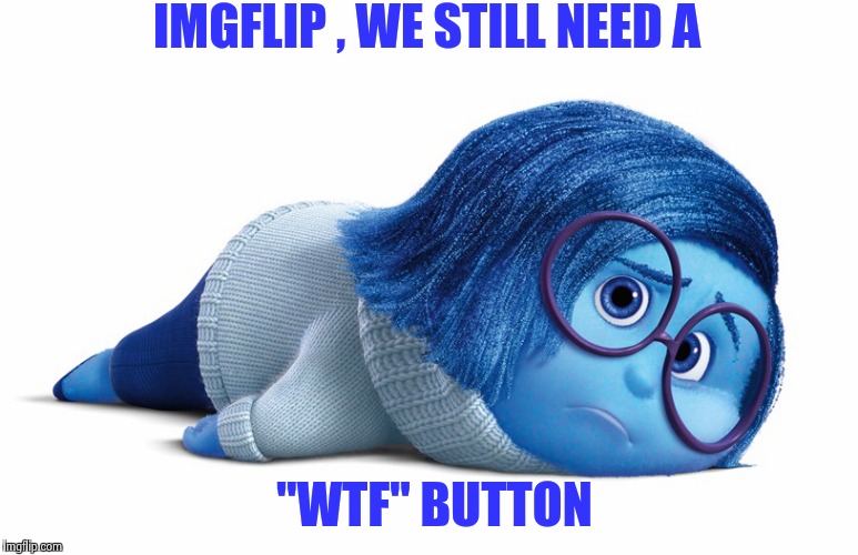 Sadness | IMGFLIP , WE STILL NEED A "WTF" BUTTON | image tagged in sadness | made w/ Imgflip meme maker