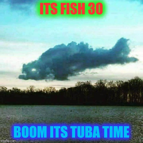 Tubas skys  | ITS FISH 30; BOOM ITS TUBA TIME | image tagged in tubas skys | made w/ Imgflip meme maker
