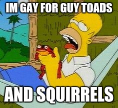 not not licking toads | IM GAY FOR GUY TOADS; AND SQUIRRELS | image tagged in not not licking toads | made w/ Imgflip meme maker