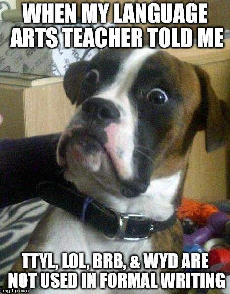 Surprised Dog | WHEN MY LANGUAGE ARTS TEACHER TOLD ME; TTYL, LOL, BRB, & WYD ARE NOT USED IN FORMAL WRITING | image tagged in surprised dog | made w/ Imgflip meme maker
