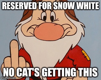 RESERVED FOR SNOW WHITE NO CAT'S GETTING THIS | made w/ Imgflip meme maker