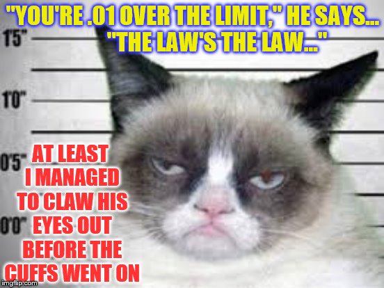 "YOU'RE .01 OVER THE LIMIT," HE SAYS...          
"THE LAW'S THE LAW..." AT LEAST I MANAGED TO CLAW HIS EYES OUT BEFORE THE CUFFS WENT ON | made w/ Imgflip meme maker