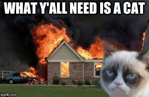 WHAT Y'ALL NEED IS A CAT | made w/ Imgflip meme maker