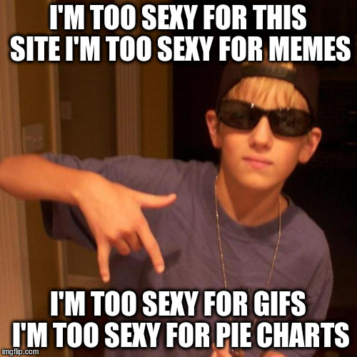 I'M TOO SEXY FOR THIS SITE I'M TOO SEXY FOR MEMES I'M TOO SEXY FOR GIFS I'M TOO SEXY FOR PIE CHARTS | made w/ Imgflip meme maker