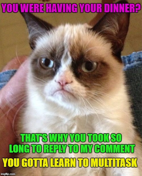 Grumpy Cat Meme | YOU WERE HAVING YOUR DINNER? THAT'S WHY YOU TOOK SO LONG TO REPLY TO MY COMMENT YOU GOTTA LEARN TO MULTITASK | image tagged in memes,grumpy cat | made w/ Imgflip meme maker