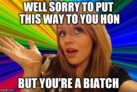 WELL SORRY TO PUT THIS WAY TO YOU HON BUT YOU'RE A BIATCH | made w/ Imgflip meme maker