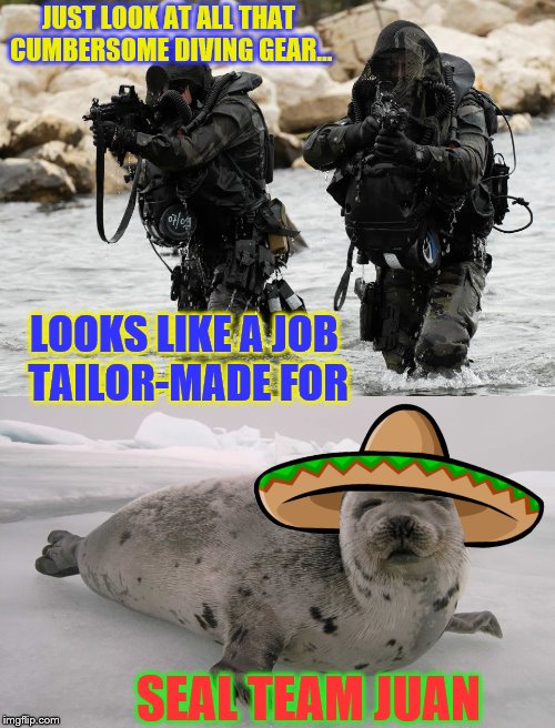 How long can YOU hold your breath under water while outswimming sharks? | JUST LOOK AT ALL THAT CUMBERSOME DIVING GEAR... LOOKS LIKE A JOB TAILOR-MADE FOR; SEAL TEAM JUAN | image tagged in memes,phunny,seal team 6,funny,animals,chubby taco-eating commando | made w/ Imgflip meme maker