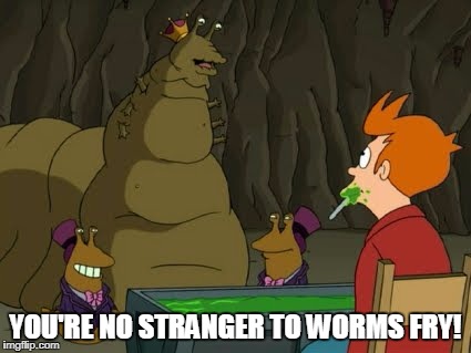 YOU'RE NO STRANGER TO WORMS FRY! | made w/ Imgflip meme maker