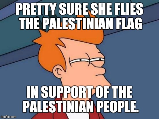Futurama Fry Meme | PRETTY SURE SHE FLIES THE PALESTINIAN FLAG IN SUPPORT OF THE PALESTINIAN PEOPLE. | image tagged in memes,futurama fry | made w/ Imgflip meme maker
