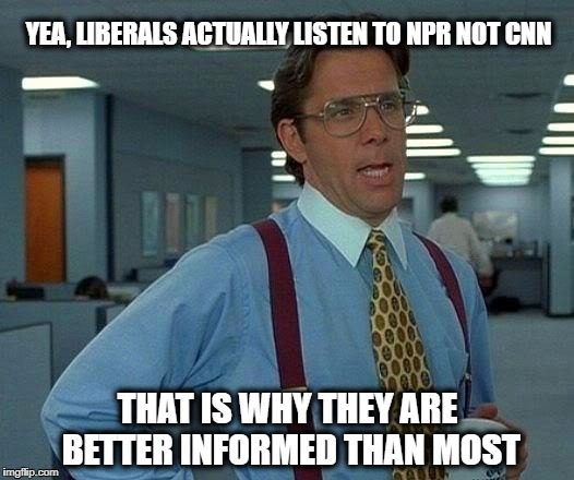 That Would Be Great Meme | YEA, LIBERALS ACTUALLY LISTEN TO NPR NOT CNN THAT IS WHY THEY ARE BETTER INFORMED THAN MOST | image tagged in memes,that would be great | made w/ Imgflip meme maker