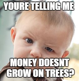 Skeptical Baby | YOURE TELLING ME; MONEY DOESNT GROW ON TREES? | image tagged in memes,skeptical baby | made w/ Imgflip meme maker