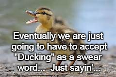 Ducking... | Eventually we are just going to have to accept; "Ducking" as a swear word...  Just sayin'... | image tagged in eventually,ducking,swear word | made w/ Imgflip meme maker