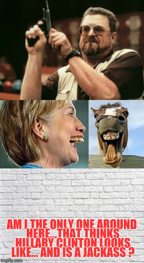Am I The Only One Around Here | AM I THE ONLY ONE AROUND HERE...THAT THINKS HILLARY CLINTON LOOKS LIKE... AND IS A JACKASS ? | image tagged in am i the only one around here,hillary clinton,funny stuff,loyalsockatxhamster,memes,john goodman | made w/ Imgflip meme maker