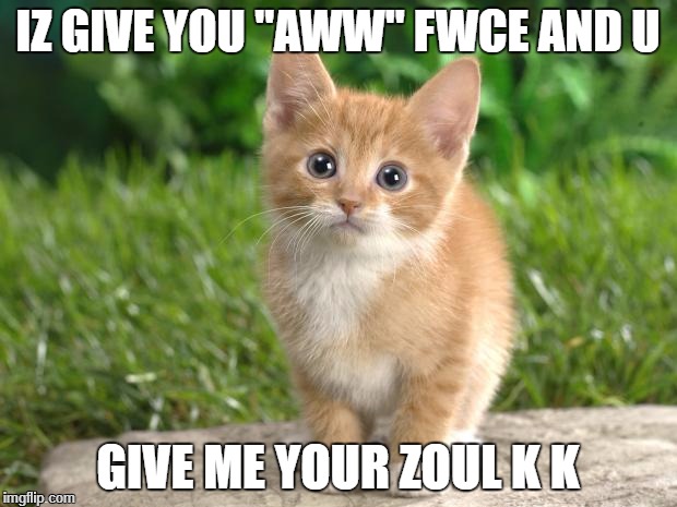 Cute cats | IZ GIVE YOU "AWW" FWCE AND U; GIVE ME YOUR ZOUL K K | image tagged in cute cats | made w/ Imgflip meme maker