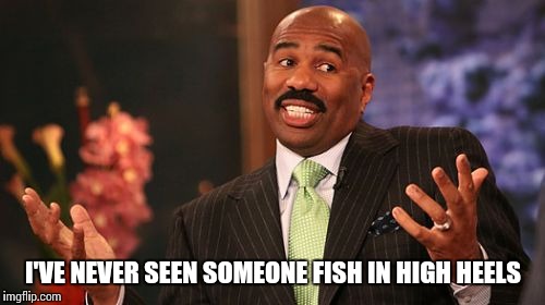 Steve Harvey Meme | I'VE NEVER SEEN SOMEONE FISH IN HIGH HEELS | image tagged in memes,steve harvey | made w/ Imgflip meme maker
